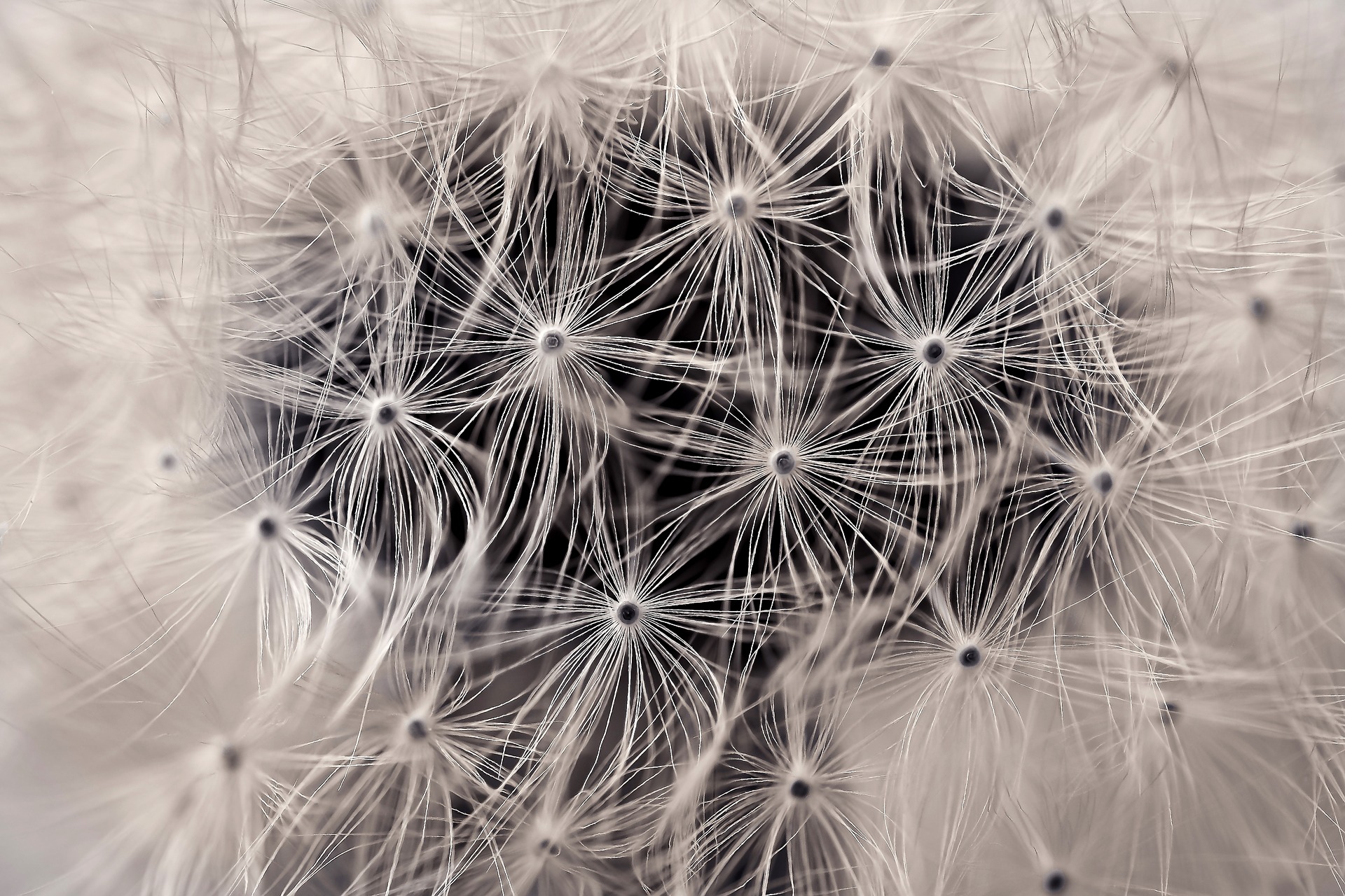 How to do node classification and choose important features