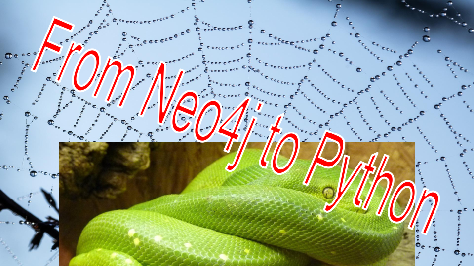 How to transfer a Neo4j graph to a Python graph